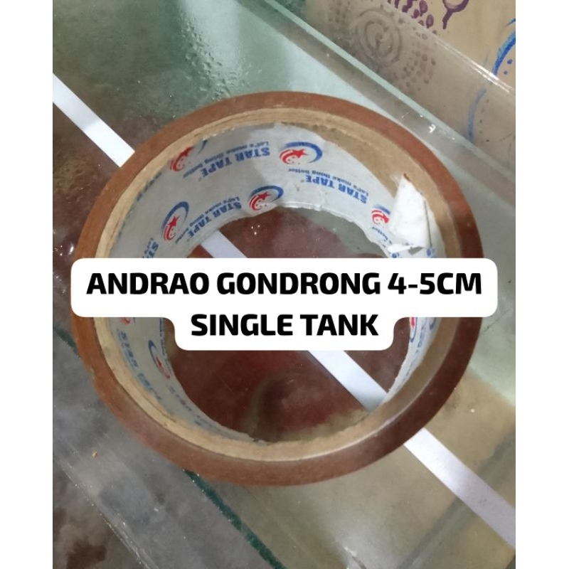 Andrao gondrong