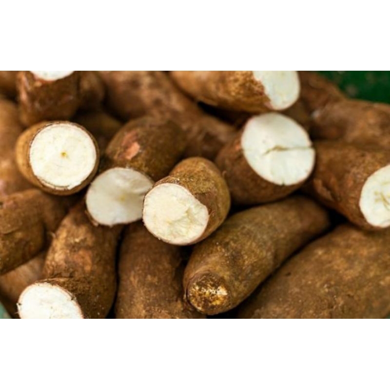 

Singkong/ketela manggu/keju/madu