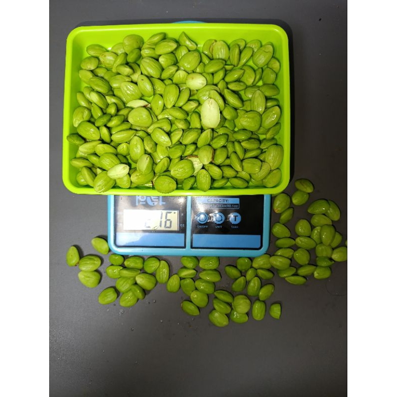 

Petai / pete kupas 250 gram