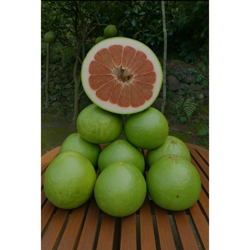 

jeruk pamelo muria berat 2 kg