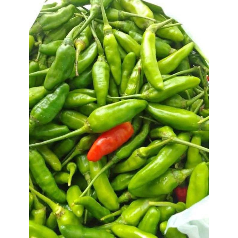 

cabai hijau segar 1/4kilo