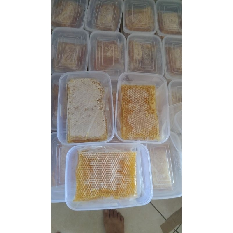 

MADU SARANG ASLI madu sarang/sarang madu/honeycomb 500 gram