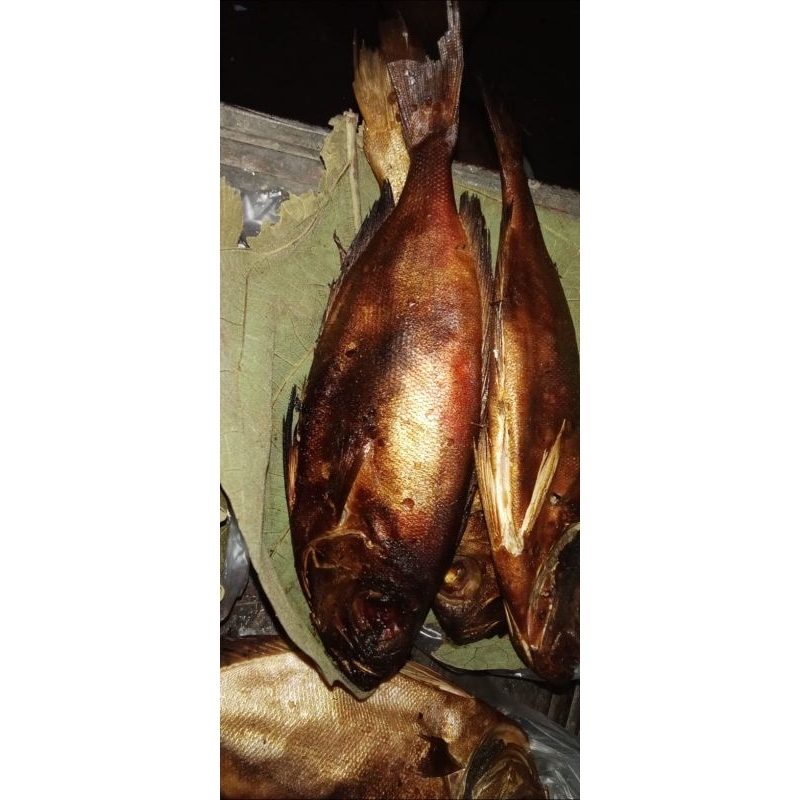

IKAN ASAP DEMANG IKAN ASAP MOTO OMBO VAKUM ISI 3