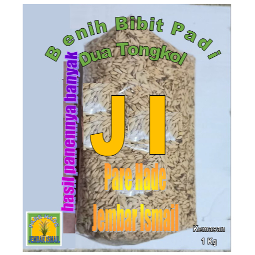 Benih Bibit Padi Dua Tongkol Kemasan 1 Kg