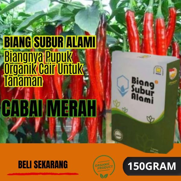 Biang Subur Alami Nasa / Pupuk Organik Cair Tanaman Cabai Merah / Biang Subur Alami Cabai Merah