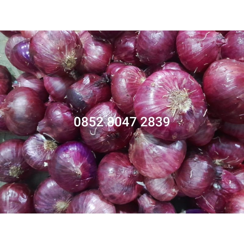 

Bawang Merah India / Bawang Peking 1kg