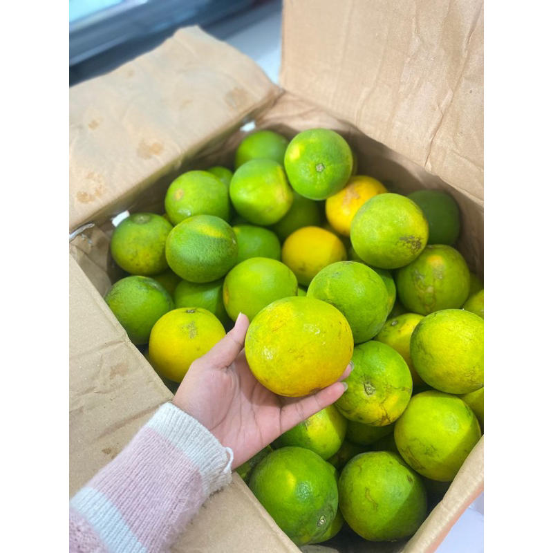 

jeruk baby java 1 kg