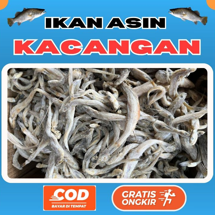 

[Kemasan Vakum] Ikan Asin Kacangan 250gr 500gr 1kg BEST SELLER