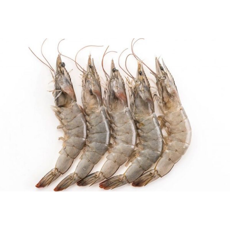 

seafood - udang size 50 (250g) by pasar Tasik online