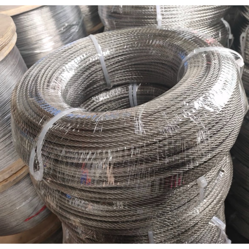 Sunbloom Kawat Seling Baja Galvanis 2Mm