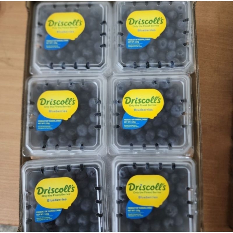 

Blueberry Blueberries Yike Berries Yunnan Driscoll's imported antioxidant exotic fruit