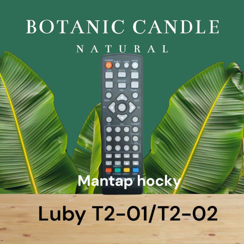 Remot receiver LUBY set top box stb siaran digital remot