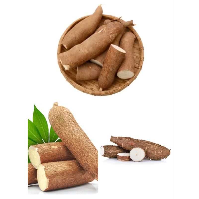 

singkong mentega 1kg