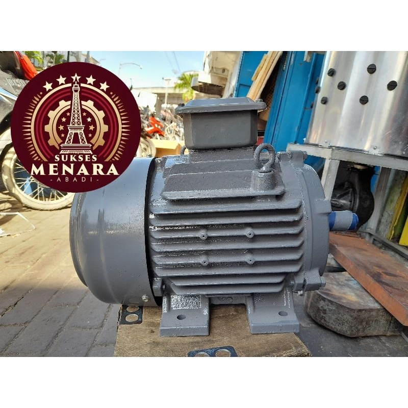 Teco 3 Phase Dinamo Induction Motor 5,5 HP