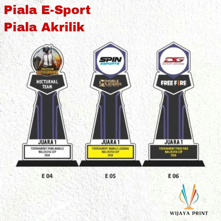 Plakat E Sport Piala E sport Akrilik Piala Pubg Piala Mobile Legend Piala Free Fire Akrilik