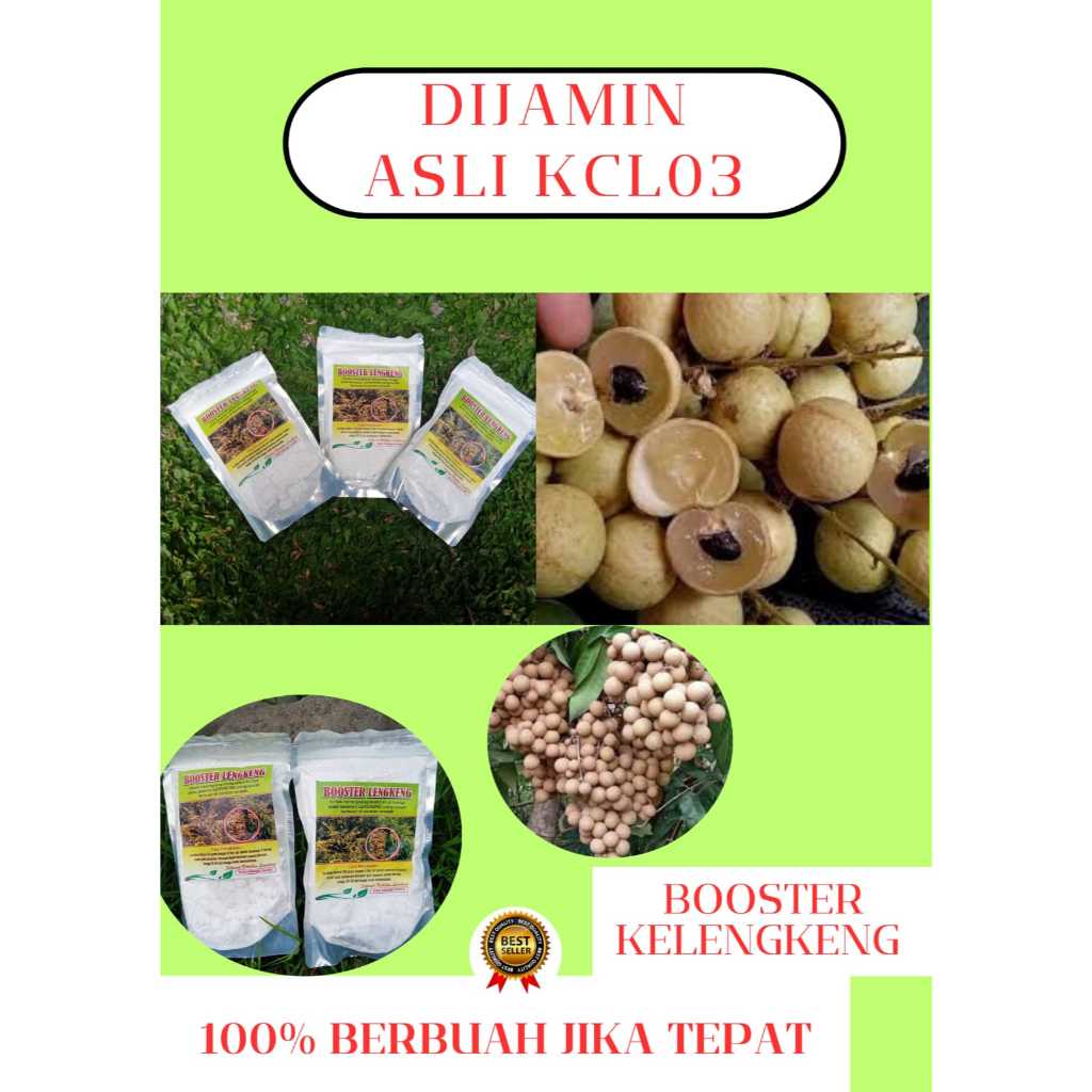 BEST SELLER  Booster Kelengkeng Kclo 3 Murni, Booster Kelengkeng Kclo 3