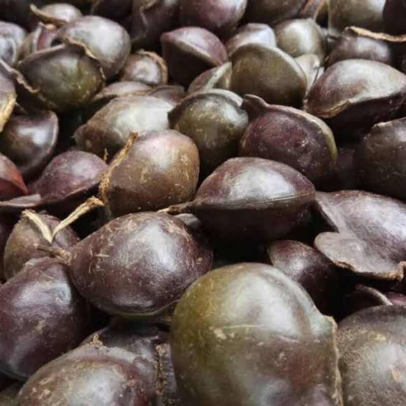 

jengkol tua / jengkol kulitan / jengkol super / jengkol ½ Kg