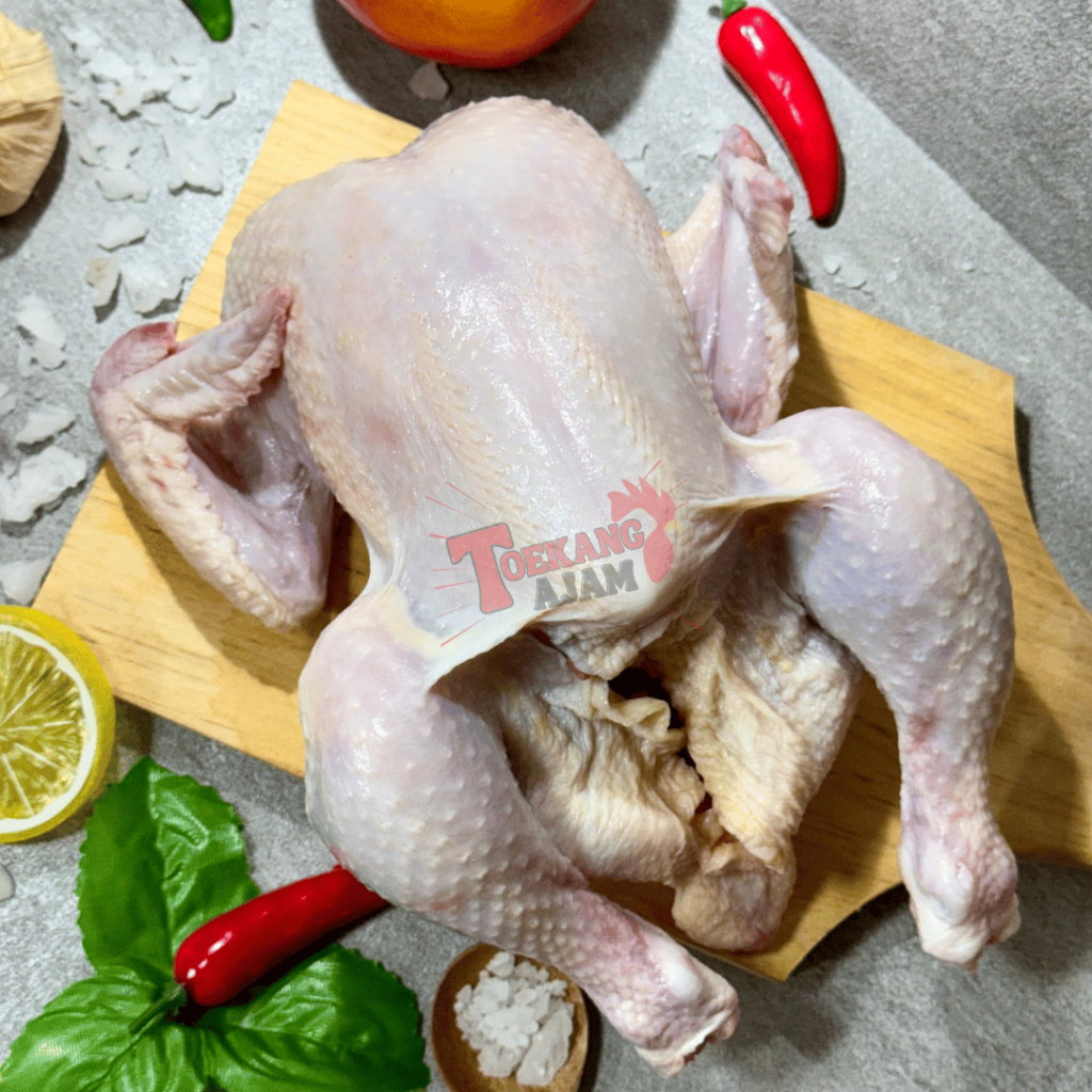 

RB Ayam Ekoran Pkk / Ayam Broiler / Ayam Negri Ukuran 0.5 - 1.5 Kg (Tulis Di Note Potong Berapa)