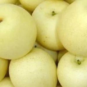 

Pear Century