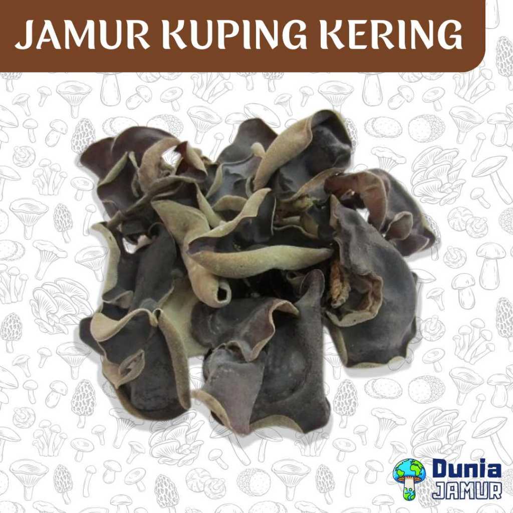 

Jamur Kuping Kering Grade Super Makanan Instan Organik Alami