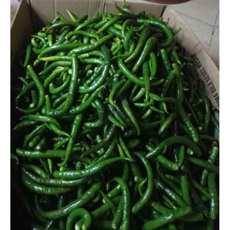 

cabai hijau imperial