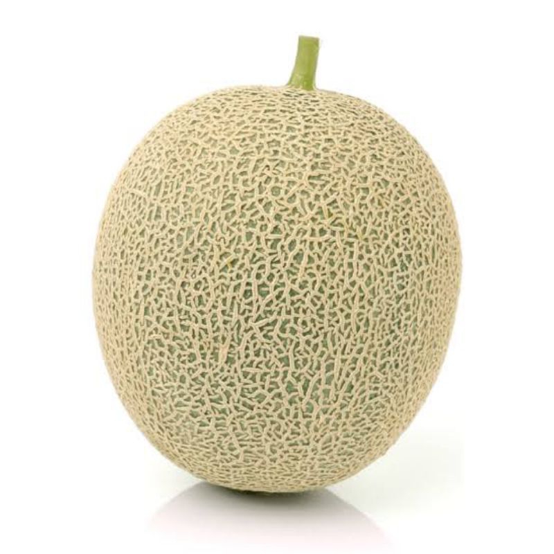 

melon 1 buah berat 1,7-2kg