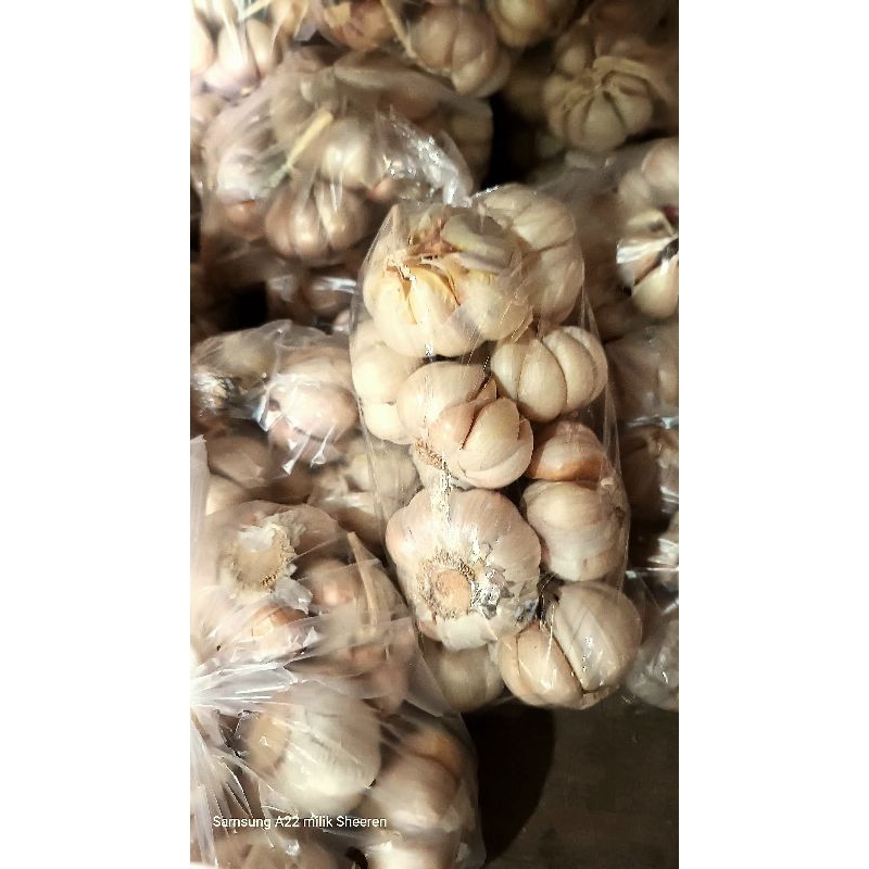 

Bawang putih sinco bersih