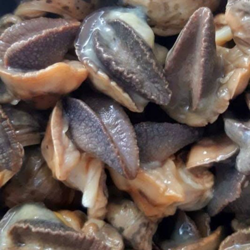 

BEKICOT Daging hrg per/kg tanpa pengawet kimia