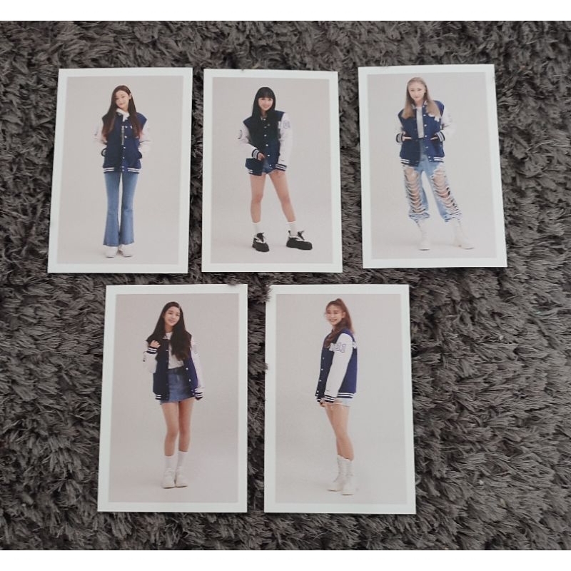 Official Secret Number Who Dis Profile Card