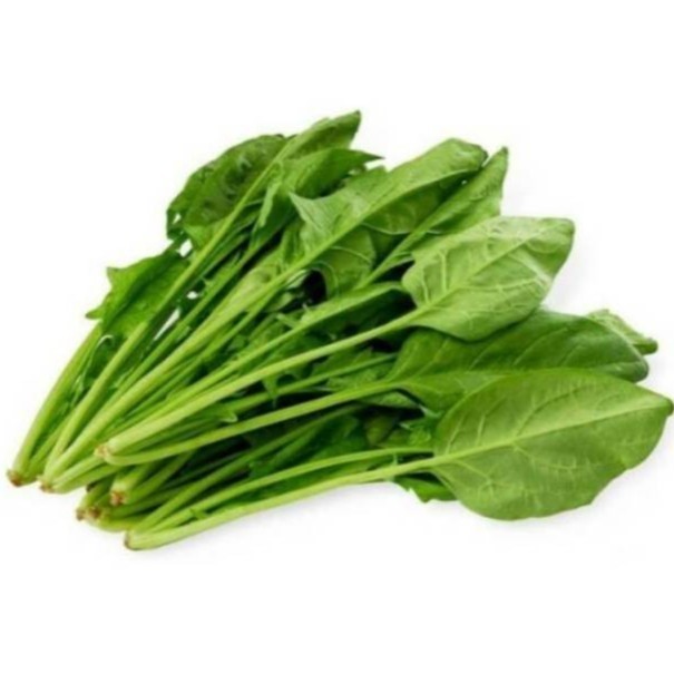 

HORENSO / BAYAM JEPANG ORGANIK BSP FARM 200GR