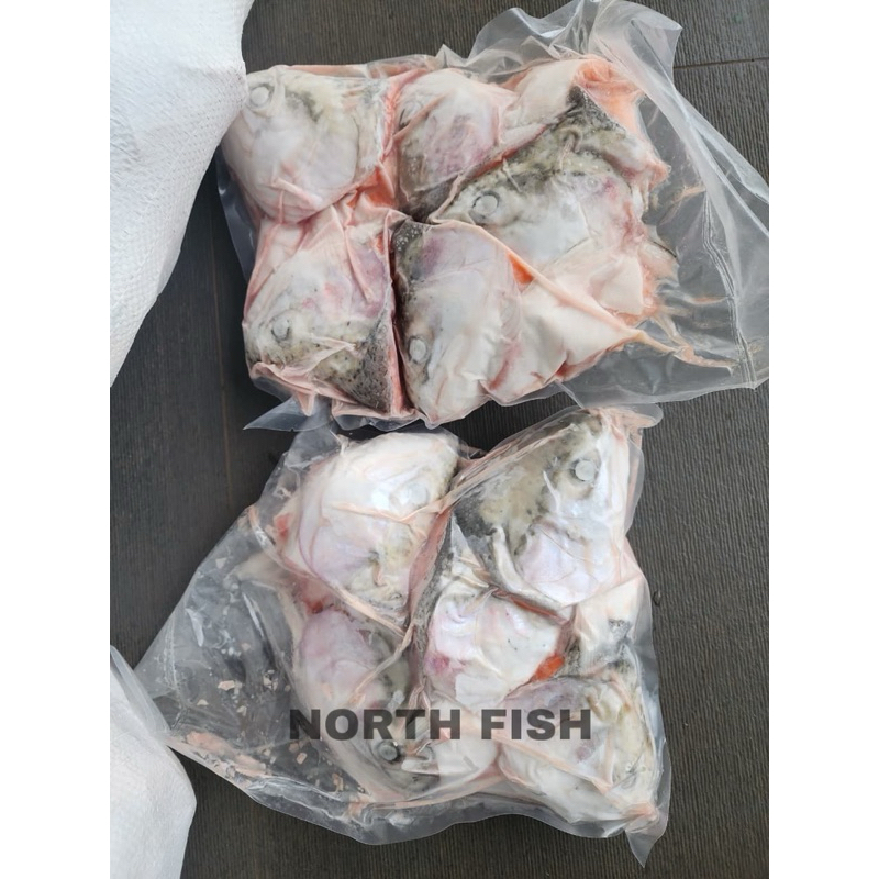 

Kepala Ikan Salmon - Salmon Head - Utuh Segar - MURAH