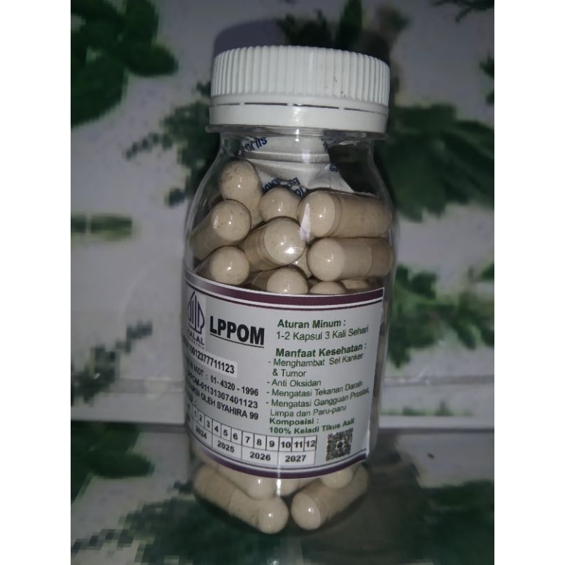 

KAPSUL HERBAL ALAMI KELADI TIKUS ISI 100 KEMASAN BOTOL