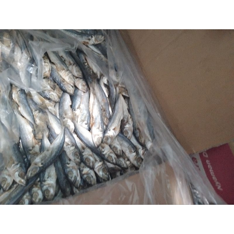 

ikan pedo k3/kecil asin