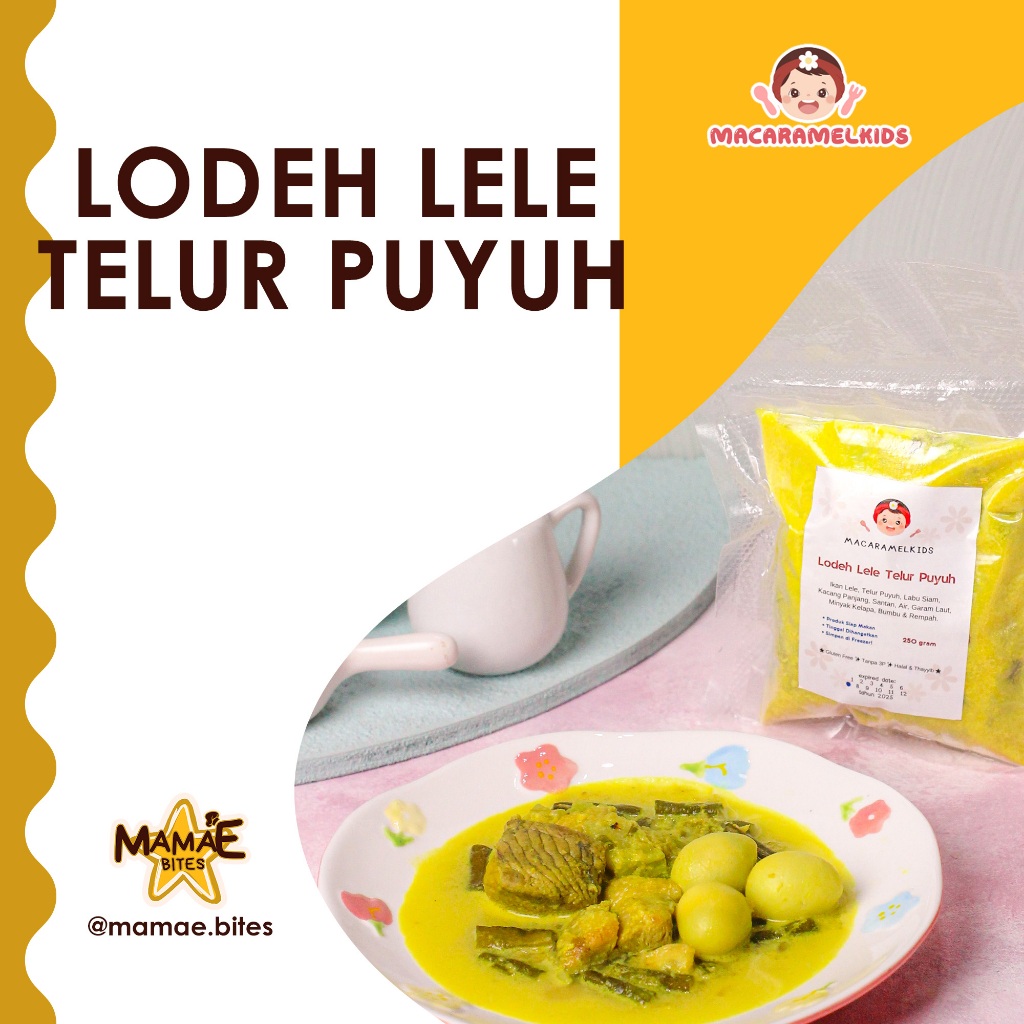 

Macaramel Kids - Lodeh Lele & Telur Puyuh | Frozen MPASI NDF Homemade & Bekal Anak Sehat