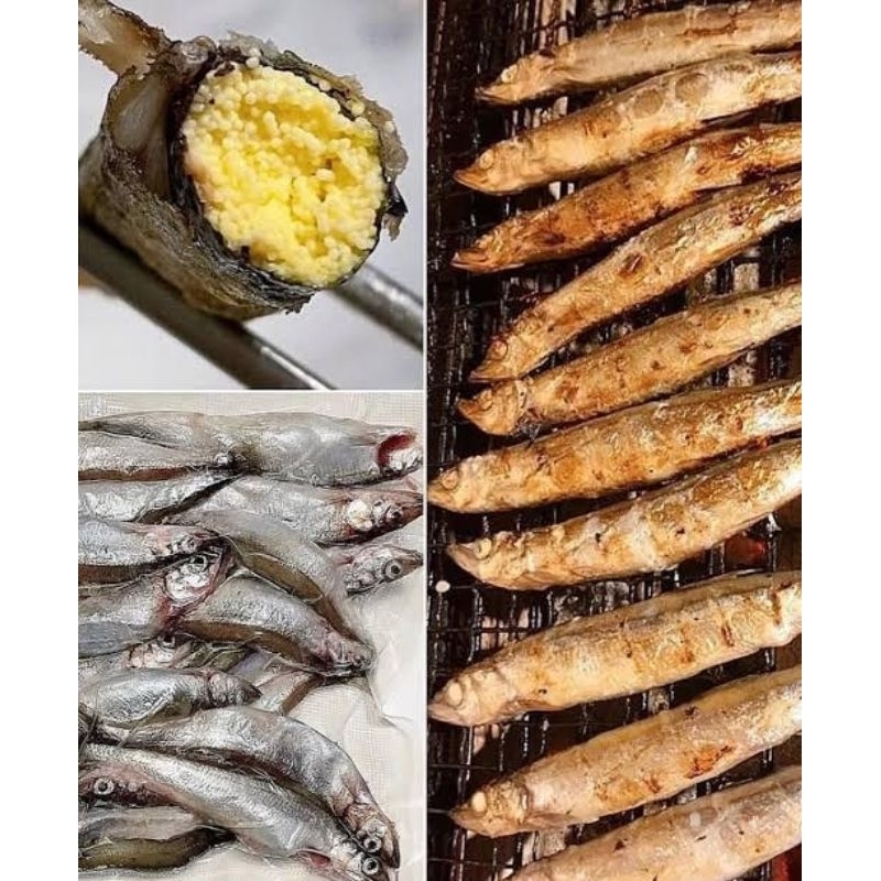 

Ikan Shisamo Telur 500gr