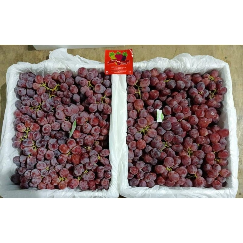 

New!! Red Globe Ausy Jumbo 500gr (BEST SELLER)