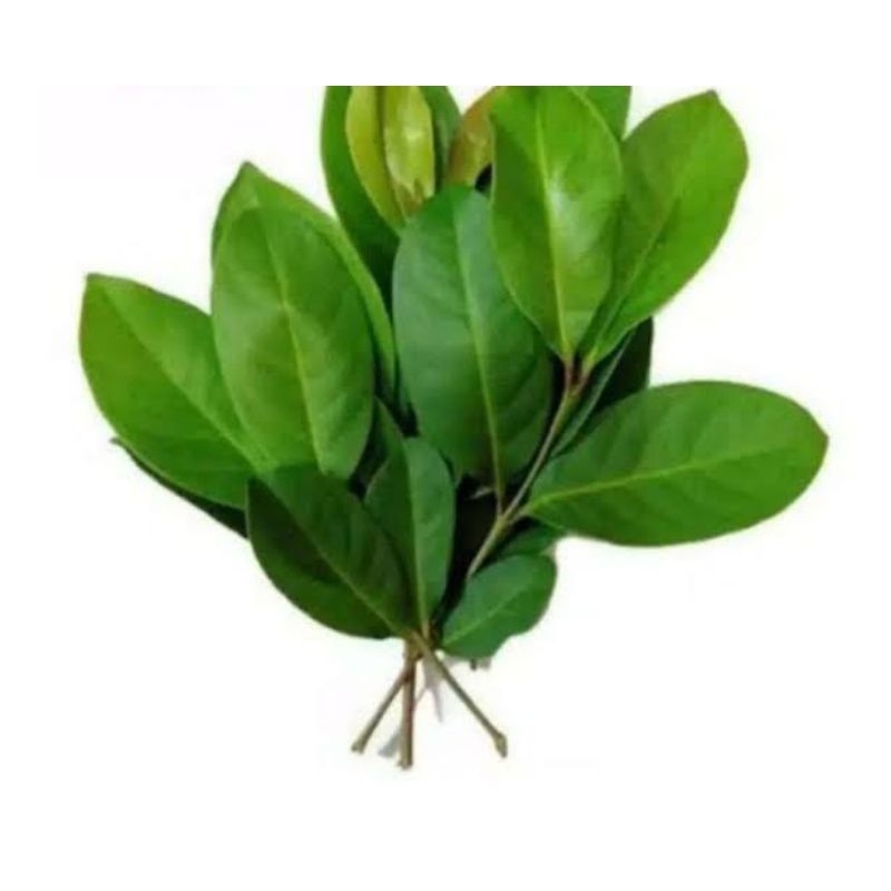 

daun salam 1 ikat