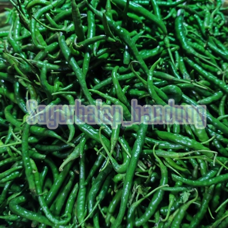 

keriting ijo 100gr