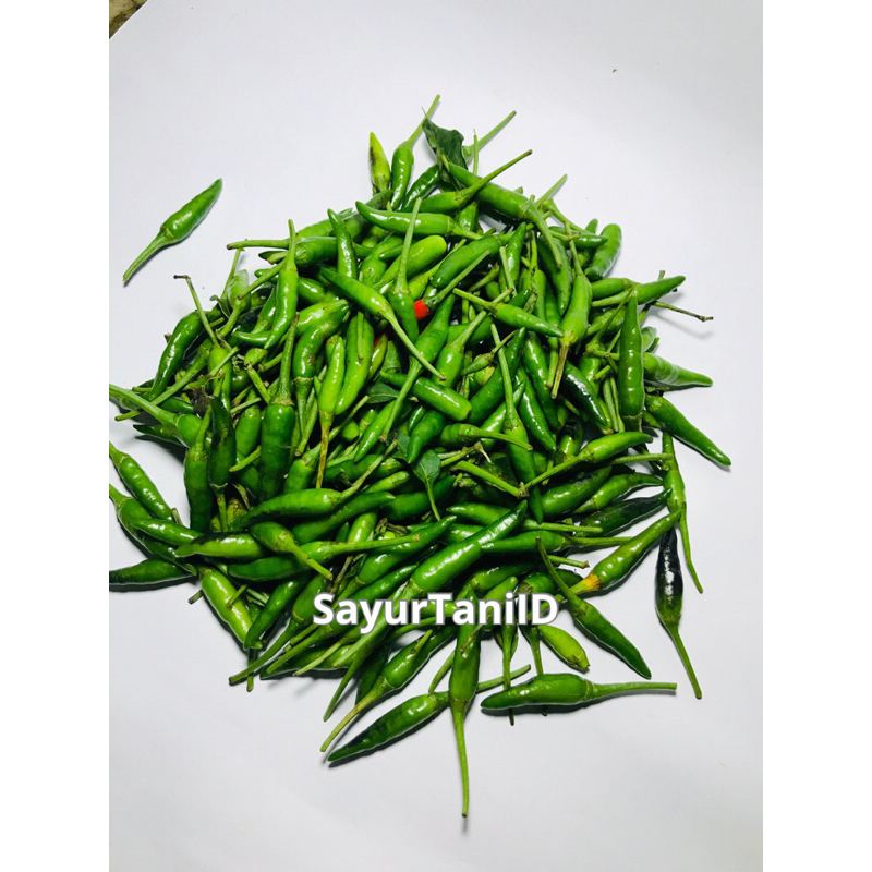 

cabai rawit hijau/cabe rawit ijo/cabe rawit