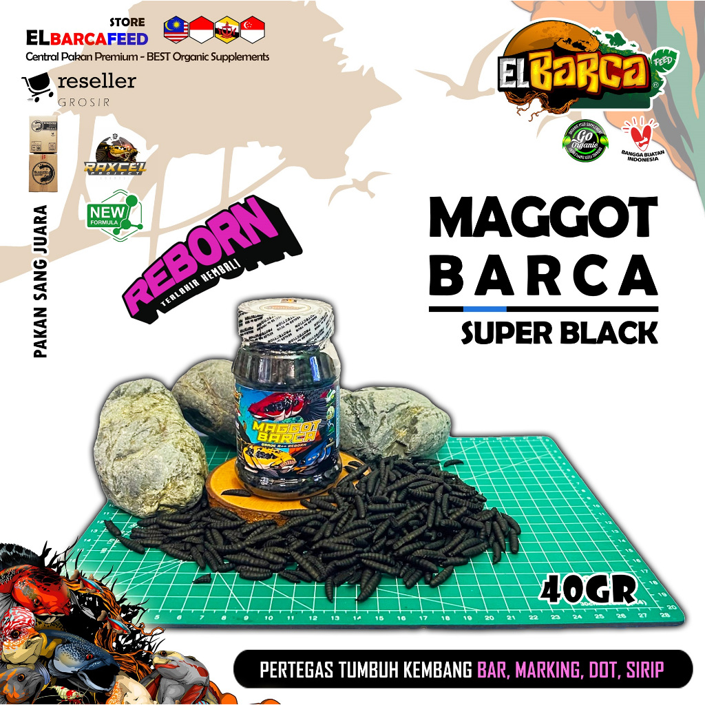 MAGGOT BARCA SUPER BLACK Booster Bunga Solid Pakan ikan predator channa pertegas bar marking dot