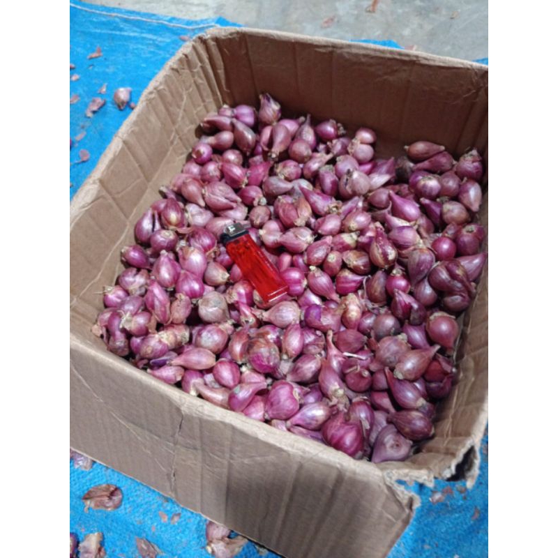

BAWANG MERAH KERING