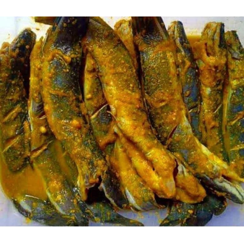 

IKAN LELE MARINASI