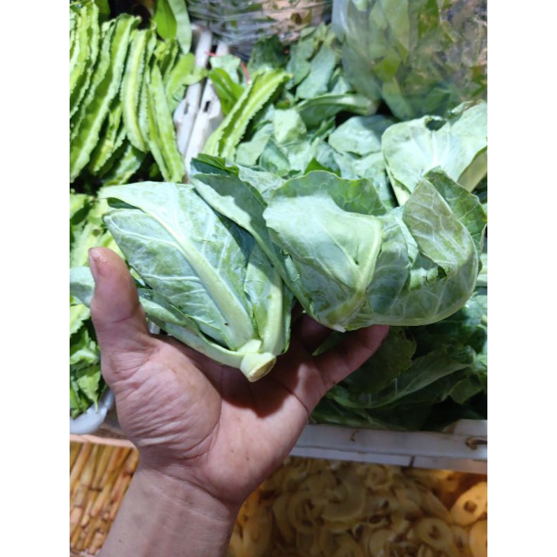 

ciwis/baby kol/comeo berat 500grm