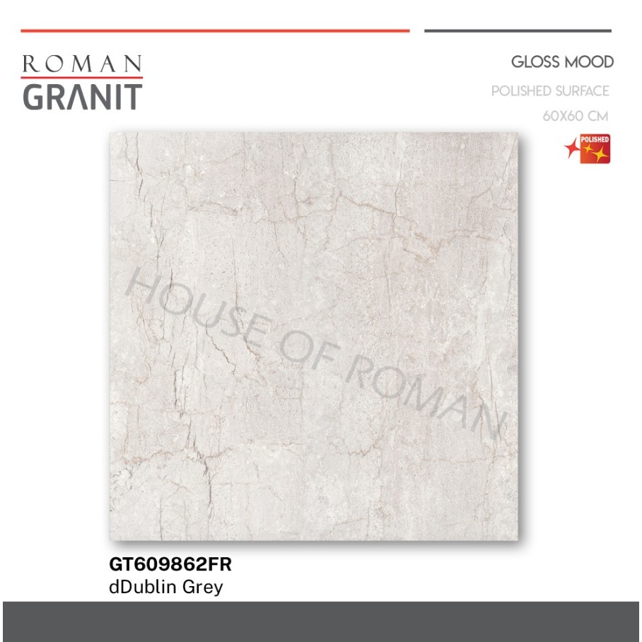 ROMAN GRANIT dDublin Grey 60x60 GT609862FR ROMAN GRANIT