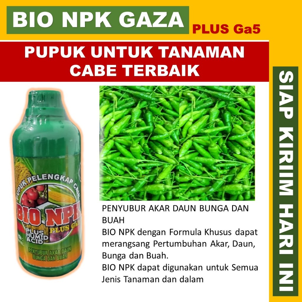 (RECOMENDED) BIO NPK GAZA Pupuk Pelebat Buah Cabe Ampuh | Obat Semprot Pelebat Buah Cabe NPK GAZA 50
