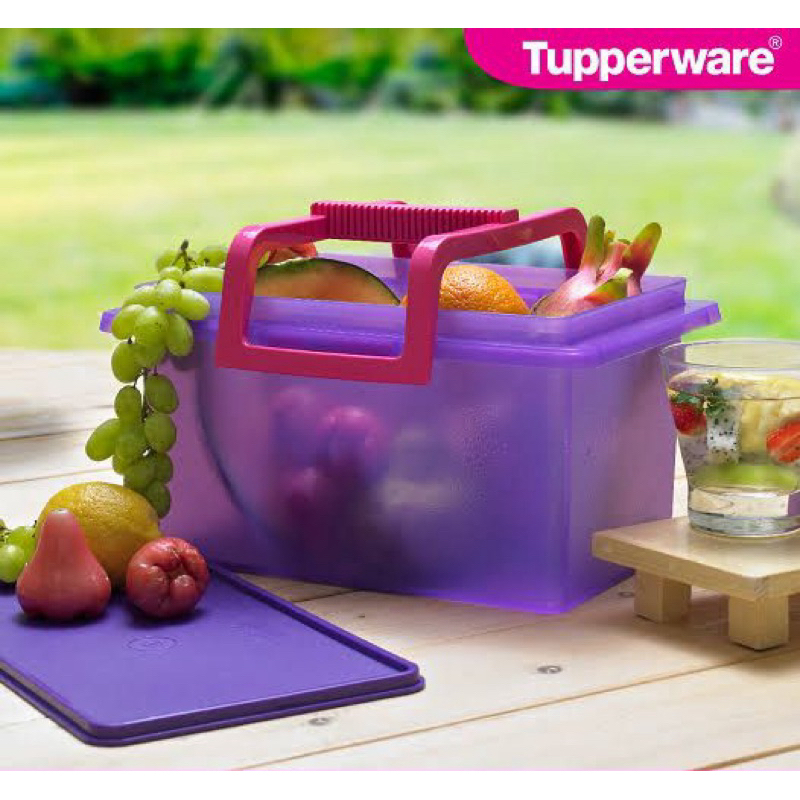 Keep N Carry 5 kg Ungu Wadah Storage Tupperware