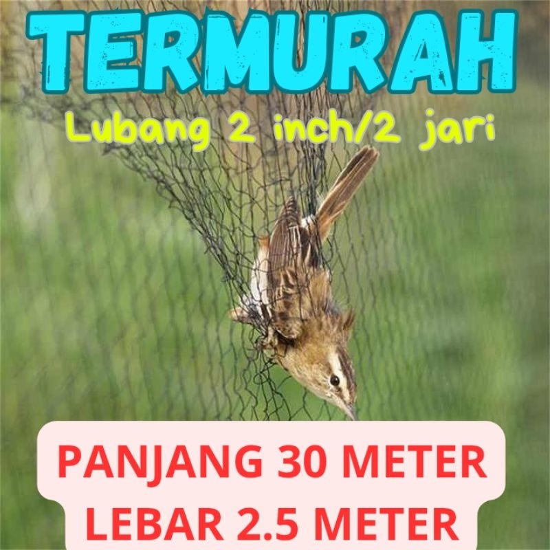 jaring burung kecil 2 inch panjang 30 2.5 meter jaring burung emprit burung pipit jaring hitam