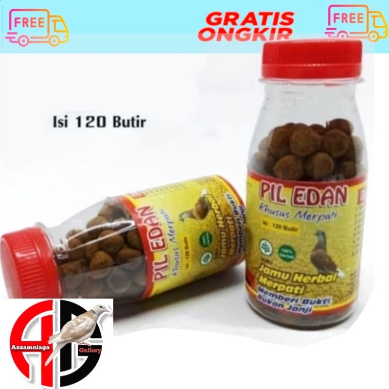 JAMU MERPATI PIL EDAN MENAMBAH POWER DAN STAMINA MERPATI PIL EDAN MERPATI