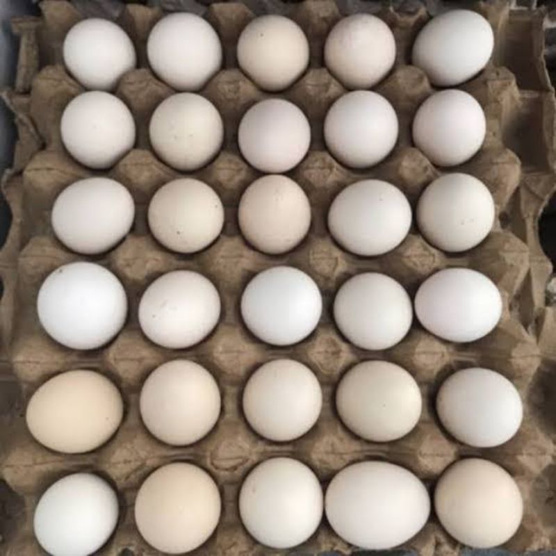 

telur ayam kampung 1krat isi 30