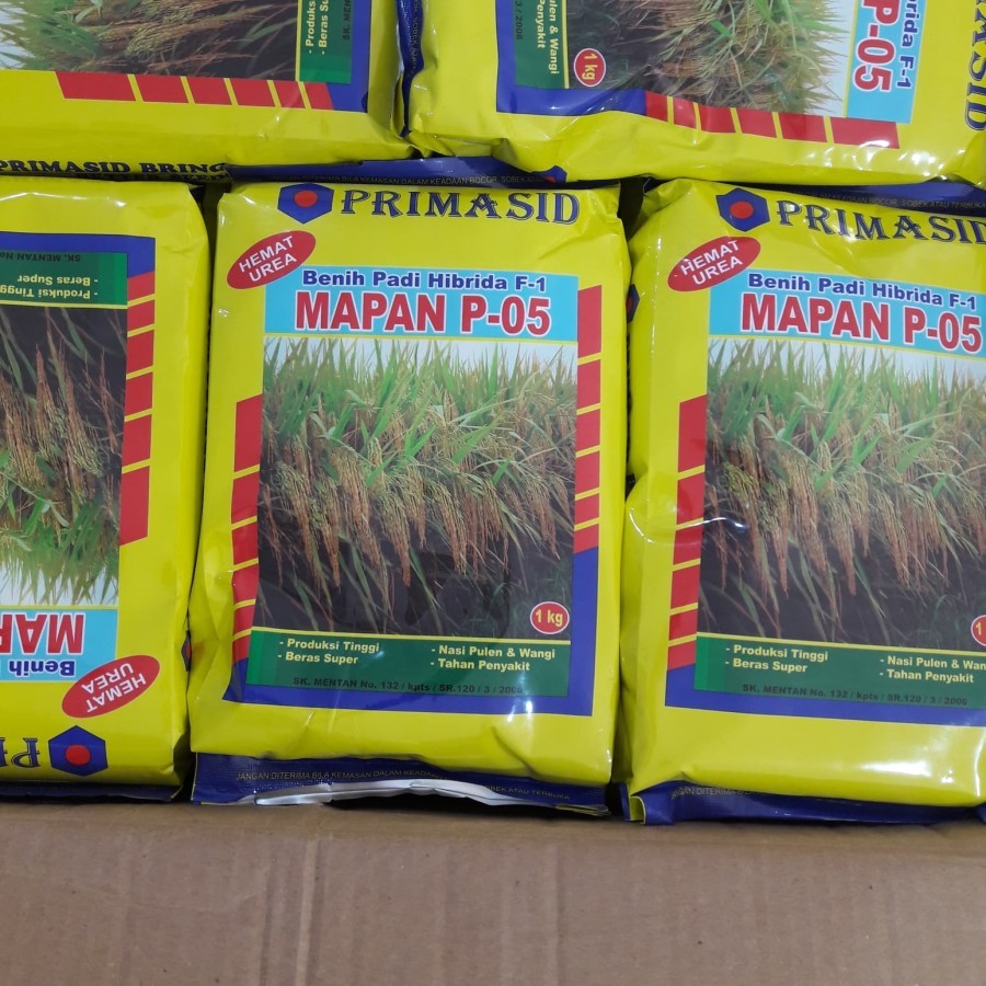 Best seller BENIH PADI HIBRIDA F1 MAPAN 05